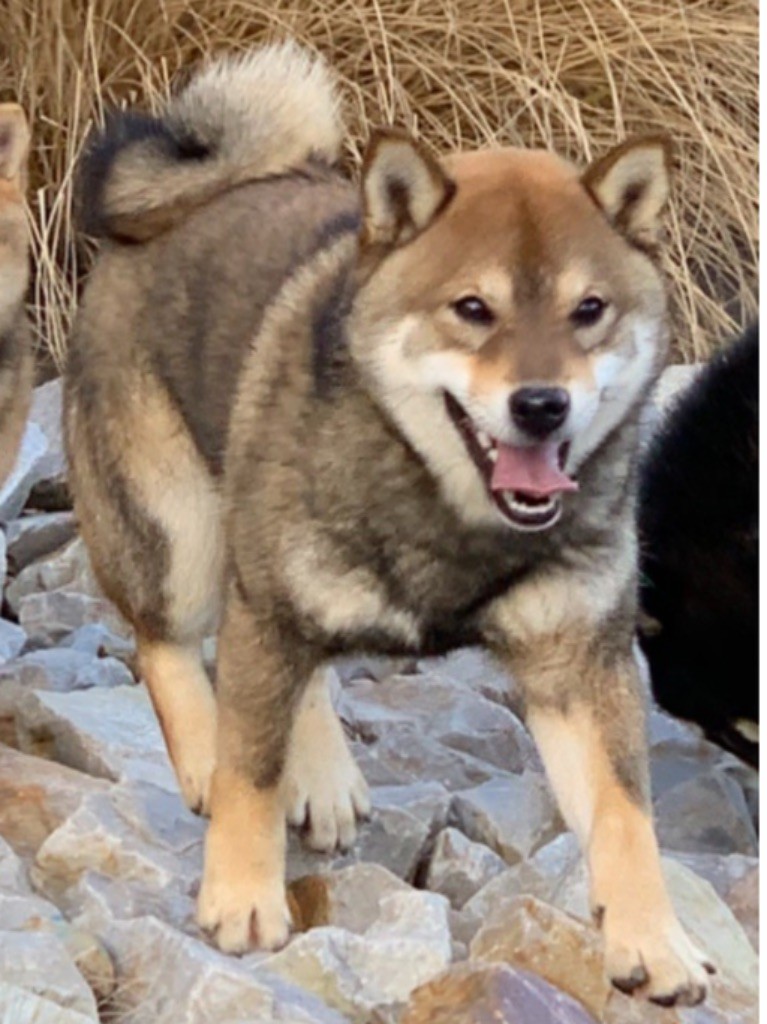Ryo junior du Domaine du Clos Benoît